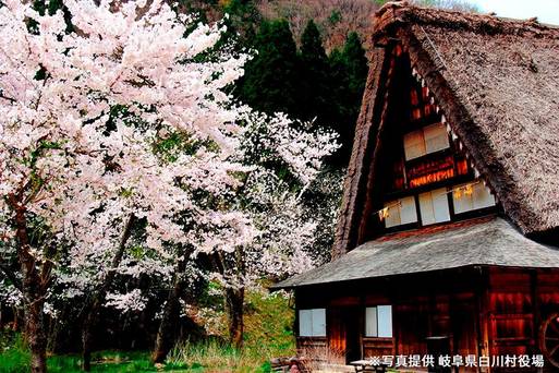 白川鄉合掌村-四季