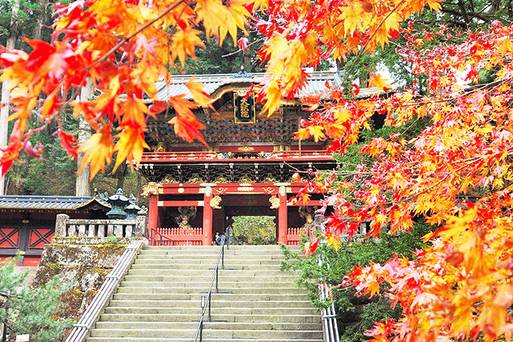 日光東照宮