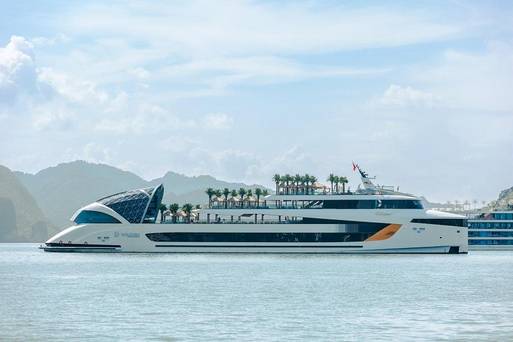Dolphin  Day  Cruise