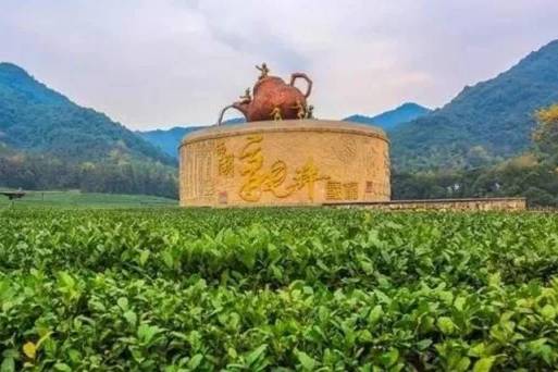龍塢茶鎮茶文化體驗活動