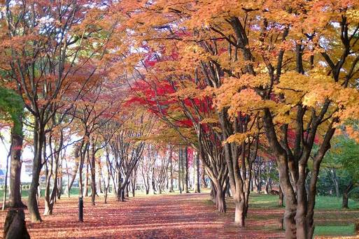見晴公園