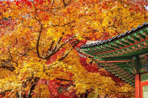 html 1070309-首爾-景福宮