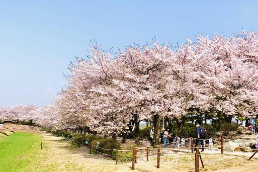 始興河溝生態公園