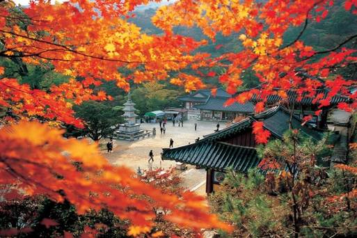 龍門山(龍門寺)