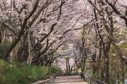 仁川自由公園