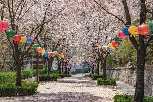仁川自由公園