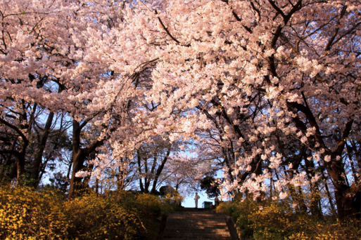 仁川自由公園