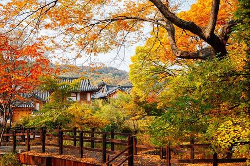 恩平韓屋村