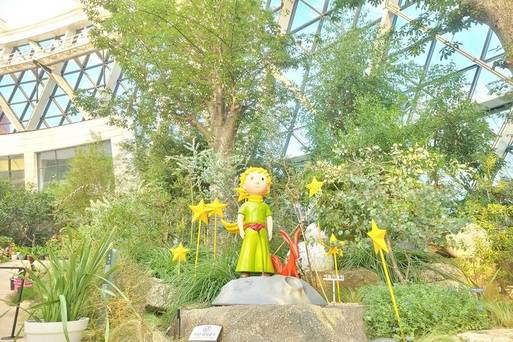 首爾植物園(自行拍攝)
