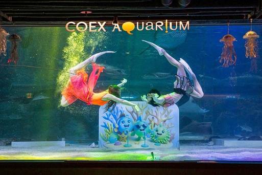 韓國首爾COEX水族館