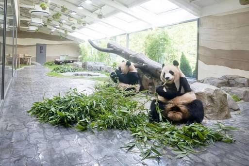 愛寶樂園熊貓Panda 2nd House