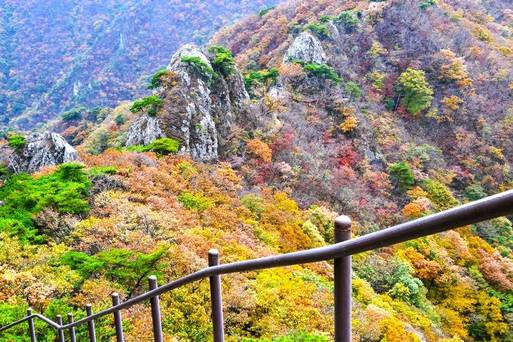 雞龍山
