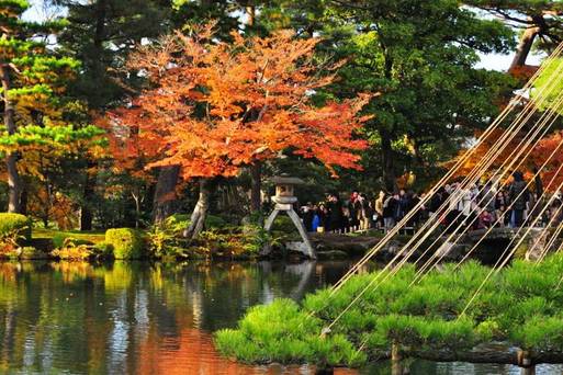 兼六園 紅葉