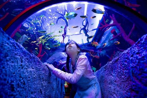 新山樂高水族館 2025飯店給