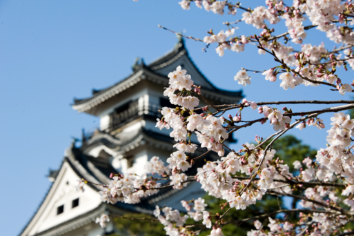 高知城