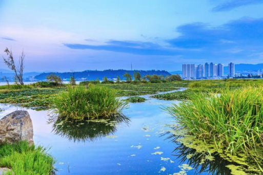 大理洱海濕地公園