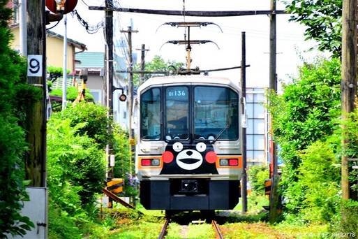 熊本熊彩繪電車