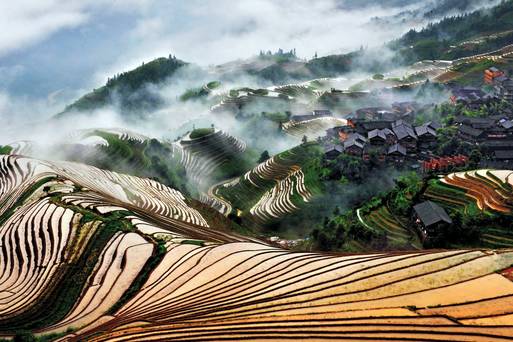 龍脊梯田