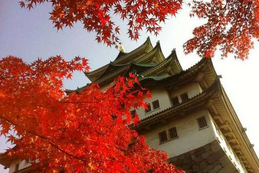 名古屋城 紅葉