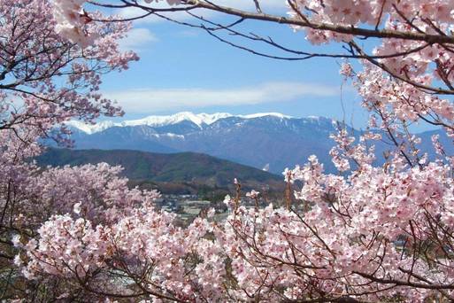 高遠城址公園