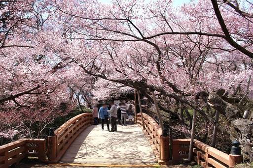高遠城址公園