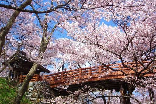 高遠城址公園