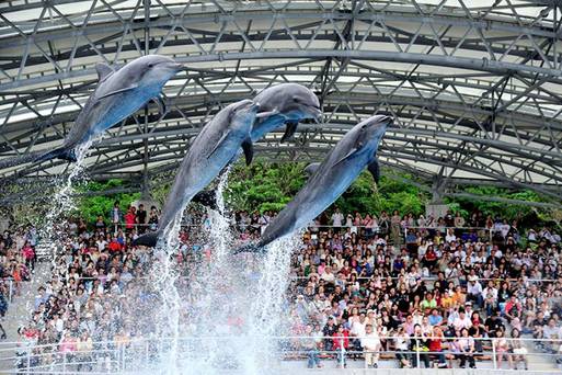 HTML 海洋博公園