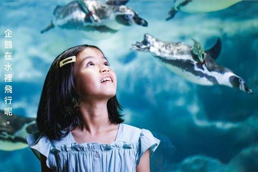 IIAS DMM水族館