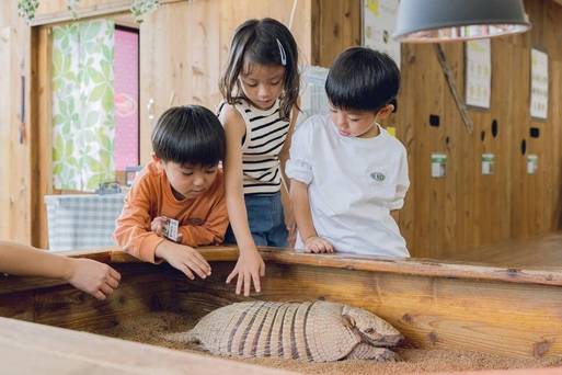 沖繩東南植物園