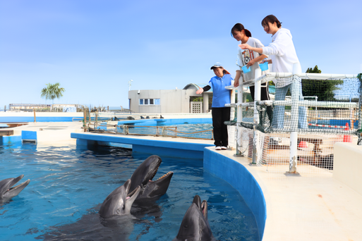 海洋博公園＋美之海水族館