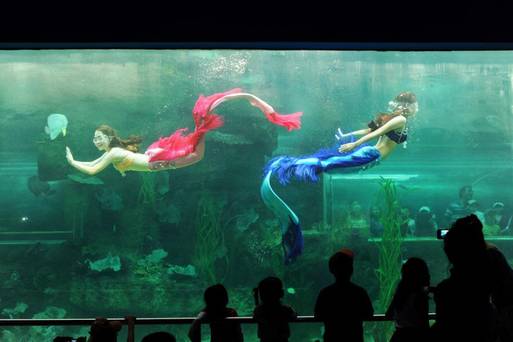 HTML 富國島珍珠樂園