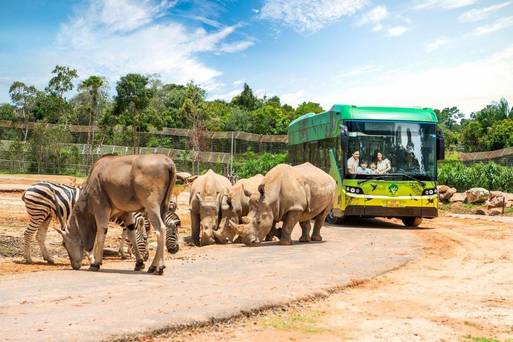 VINPEARL SAFARI野生動物園