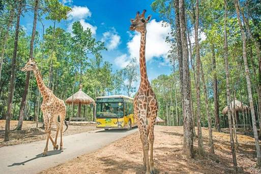 VINPEARL SAFARI野生動物園
