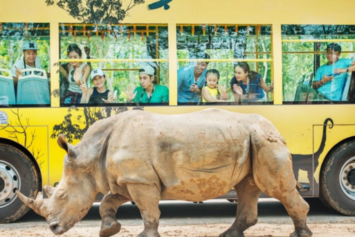 VINPEARL SAFARI野生動物園