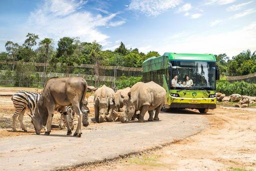中區-Vinpearl  Safari  Phu  Quoc
