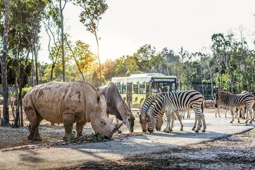 中區-Vinpearl  Safari  Phu  Quoc