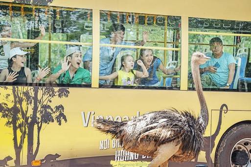 中區-Vinpearl  Safari  Phu  Quoc