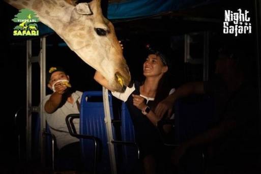 VINPEARL SAFARI夜間野生動物園