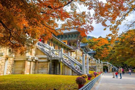 佛國寺楓葉