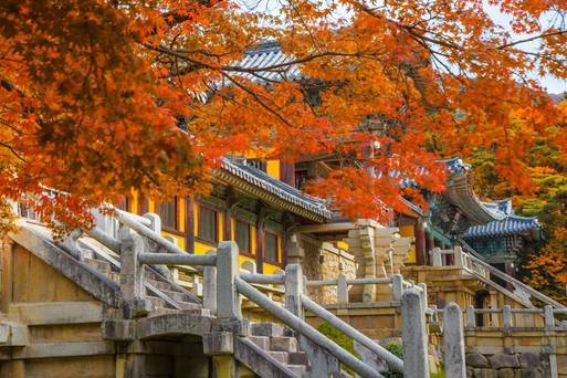 佛國寺楓葉