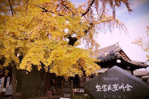全州韓屋村
