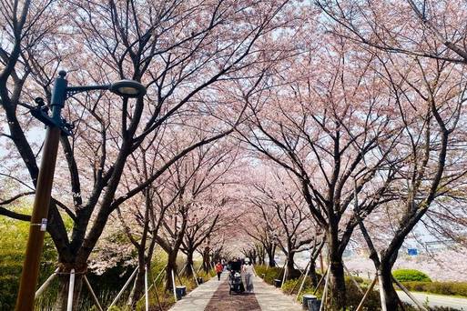 三樂生態公園
