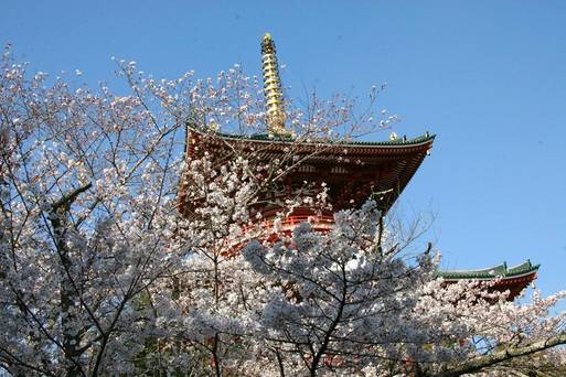 成田山新勝寺