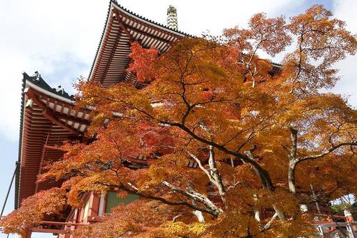 成田山新勝寺