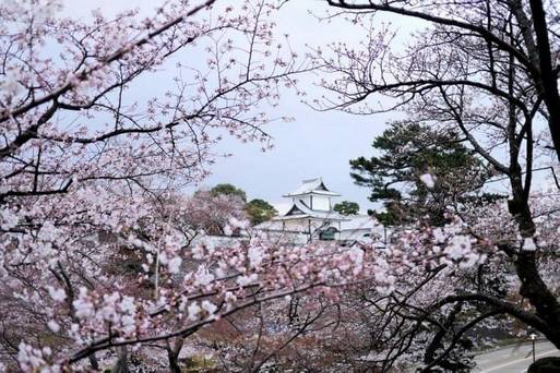 金澤城石川門