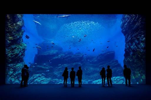 仙台海洋森林水族館