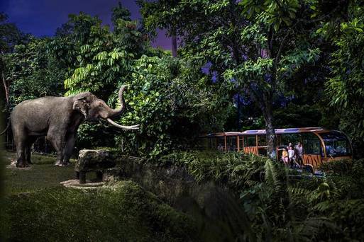 夜間動物園
