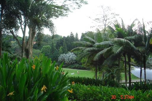 新加坡植物園