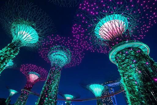 濱海灣花園-超級天空樹