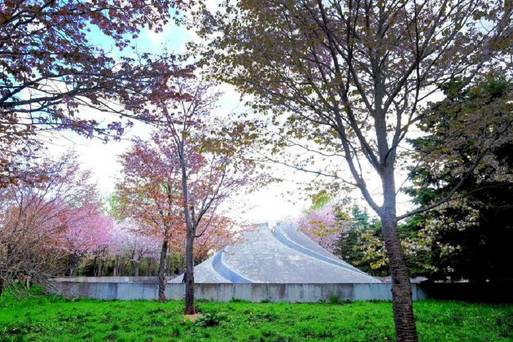 莫埃來沼公園《玻璃金字塔、藝術公園》 賞櫻
